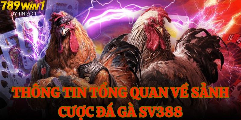 Thông tin tổng quan về sảnh cược đá gà SV388