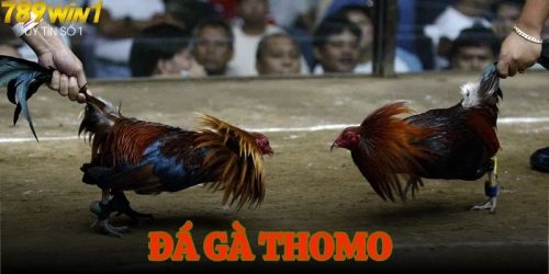 da ga thomo