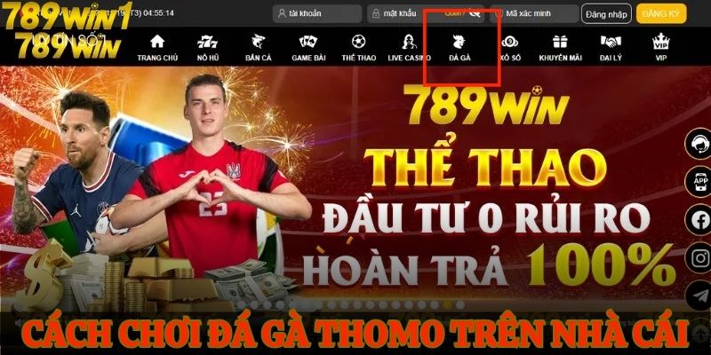 Cách chơi đá gà thomo trên nhà cái