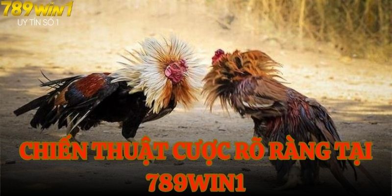 Chiến thuật cược rõ ràng tại 789WIN1