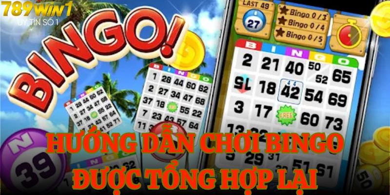 Hướng dẫn chơi bingo được tổng hợp lại