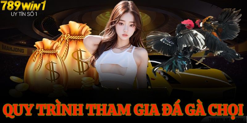 Hướng dẫn chơi đá gà chọi qua vài bước cơ bản